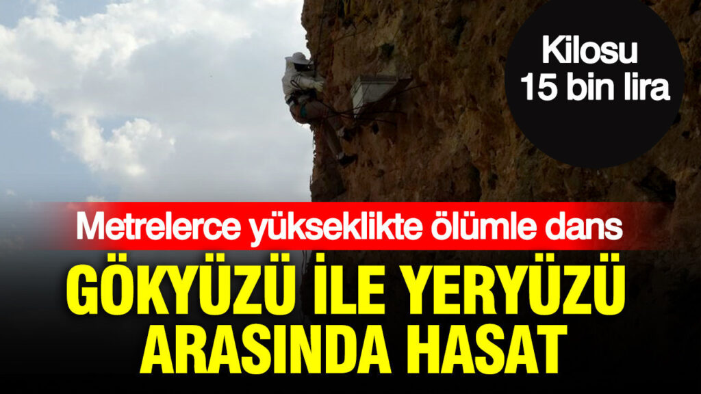 haber-gorseli-1786526077090