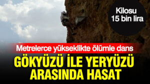 haber-gorseli-1786526077090