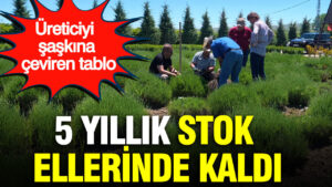 haber-gorseli-1787054731471