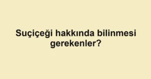 haber-gorseli-1790599447857